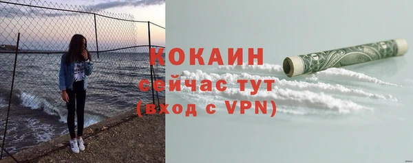 индика Лихославль
