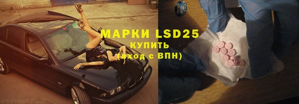 ПСИЛОЦИБИНОВЫЕ ГРИБЫ Липки