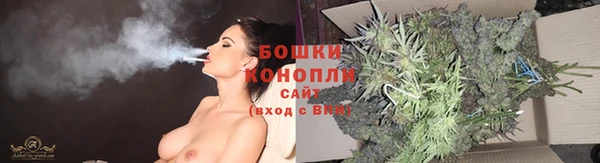 индика Лихославль