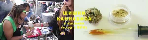 индика Лихославль