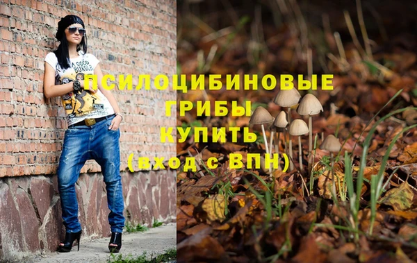 ПСИЛОЦИБИНОВЫЕ ГРИБЫ Липки