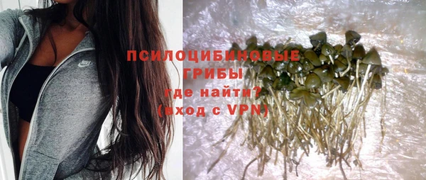 индика Лихославль