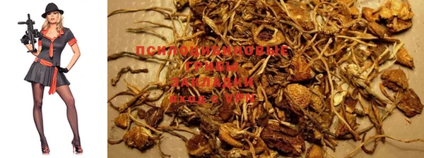 индика Лихославль