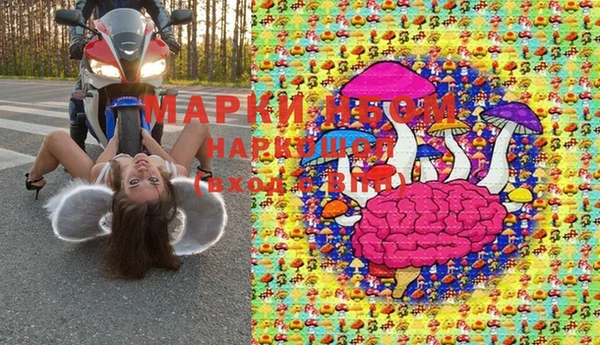 ПСИЛОЦИБИНОВЫЕ ГРИБЫ Липки