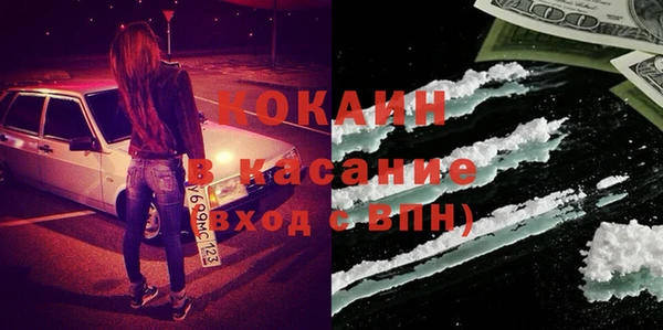 индика Лихославль