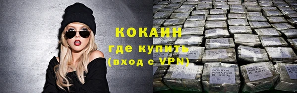 индика Лихославль