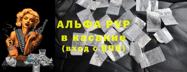 индика Лихославль