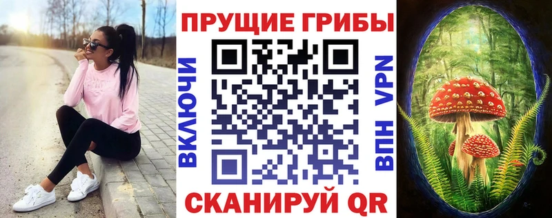 Купить  Красновишерск  Галлюциногенные грибы Magic Shrooms 